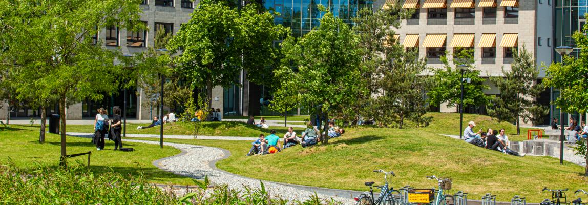 Bringing BUas closer to nature through biophilic design